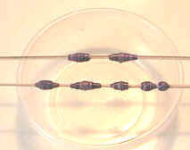 suspend beads to dry