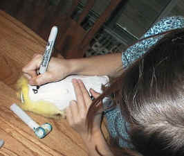 angel craft