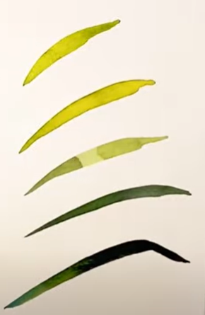 watercolor palm frond