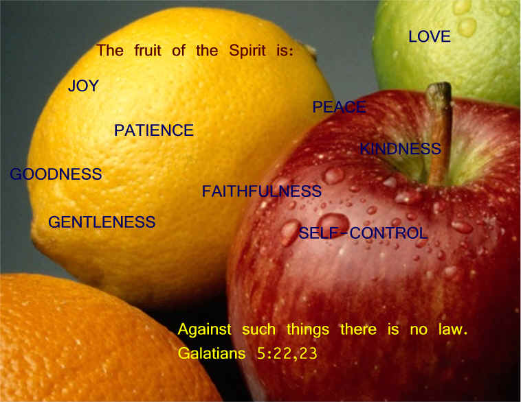 Fruit of the Spirit memory verse - Galatians 5:22,23