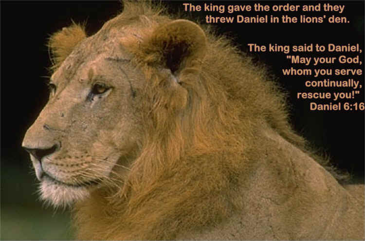 memory verse