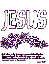 advent coloring book