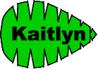 palm name tags