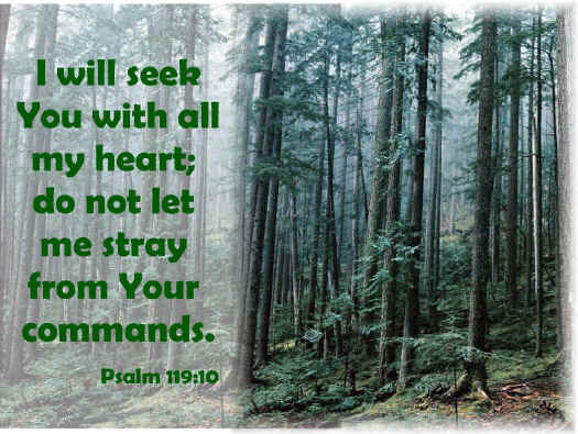 memory verse