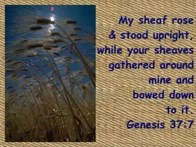 Memory verse