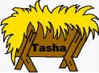 name tags