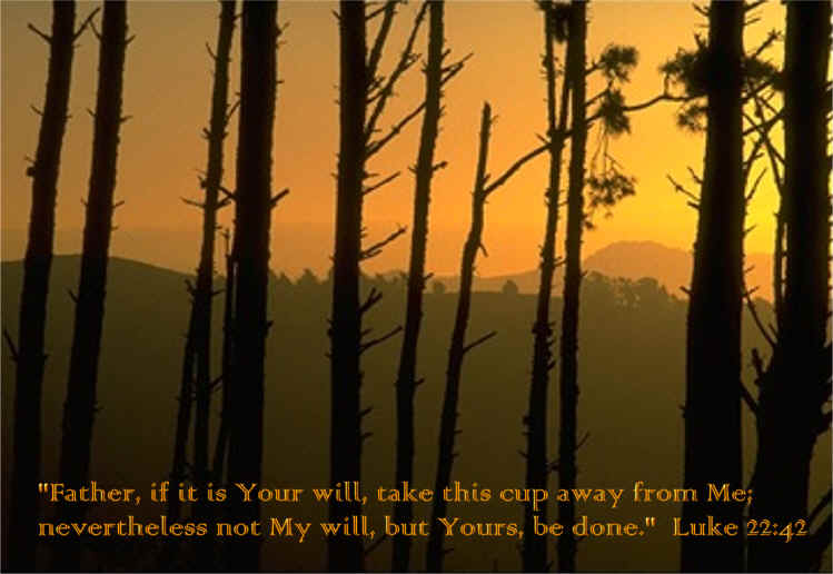 memory verse