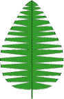 Palm Leaf Fold and Cut Craft