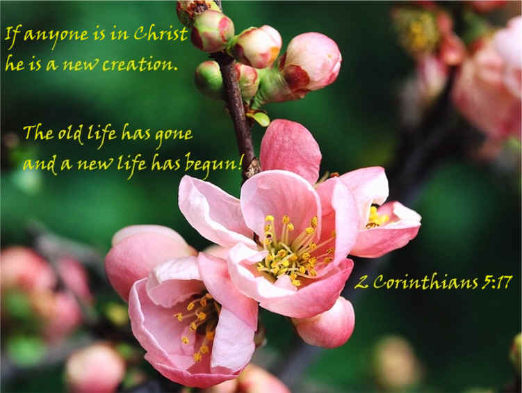 memory verse