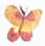 fingerprint butterflies