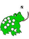 frog art