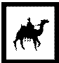 camel crafts
