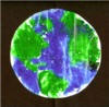 stained galss earth craft
