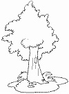 Tree coloring pages