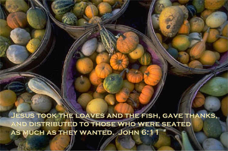 Jesus Feeds the Five Thousand Memory Verse - John 6:11