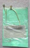 How do Seeds Grow experiment