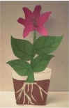 Learn about flowers craft