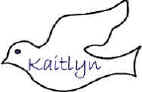 name tag