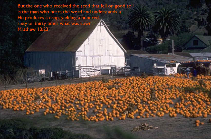 Sower and the Seed Memory Verse - Matthew 13:23