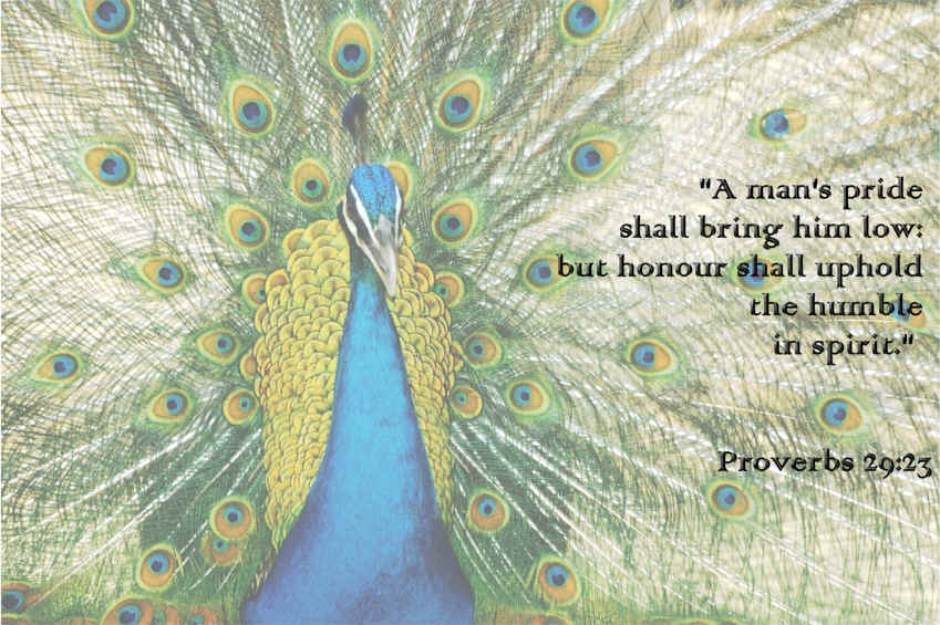 Tower of Babel Memory Verse Wallpaper - Proverbs 29:23